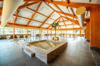 Comfort Rooms by EuroParcs de Zanding - Otterlo - 4