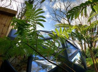 Romance - Stargazing - Hot tub & sauna! - 7