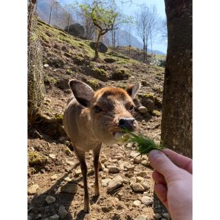 Osteria Vittoria - 3