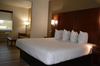 Wingate by Wyndham College Station South - 6