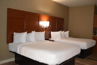 Wingate by Wyndham College Station South - College Station - 3