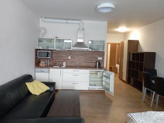 Apartmán Max Lipno - Lipno nad Vltavou - 8