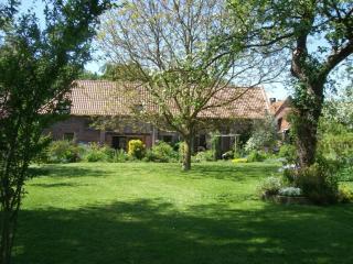 Gite Le Rucher et Gite appartement La Ruchette - Rumegies - 5
