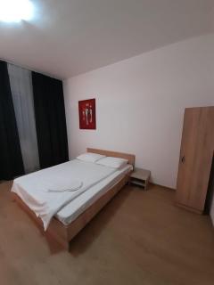 Piata Unirii- 1 Room Studio Apartment - Timişoara - 1