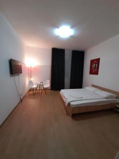 Piata Unirii- 1 Room Studio Apartment - Timişoara - 0