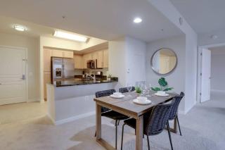 Bright and Cozy Apartment Near Pentagon City - Arlington - 8
