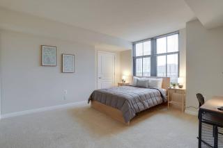Bright and Cozy Apartment Near Pentagon City - Arlington - 7