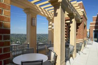 Bright and Cozy Apartment Near Pentagon City - Arlington - 0