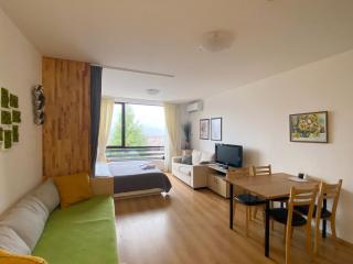 Aspen studio Mountain retreat at Aspen Resort Golf Ski & Spa - Razlog - 8
