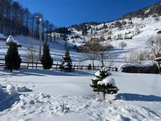 Cabana Șirnea - Şirnea - 5