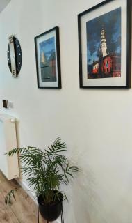 Apartament - Sienkiewicza 22D - Zamość - 2