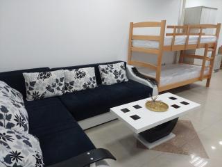 Apartman Aleksić u samom centru grada - Knjazevac. - 1