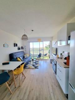 T2 cozy face dunes et océan - Thalasso et golf - 4