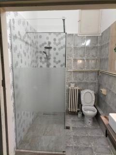Apartament in vila Secession - Oradea - 5