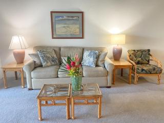 Hale Kamaole 258 - Wailea - 6