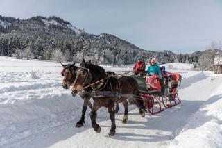 Nature Fun Apartments - Nassfeld - Pressegger See - Hermagor - 2
