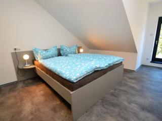 Holiday Home in Bohemian near Ski Resort - Železná Ruda - 0