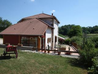 Gîte Tranquille avec Cheminée, Terrasse sur la Saône et Borne EV, Animaux Bienvenus - FR-1-589-103 - Nonville - 5