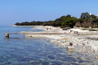 Apartments by the sea Petrcane, Zadar - 20544 - 7