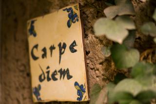 Suite 1-A Monasterio Garden House Welcome to San Angel - 3