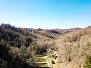 Pet friendly cabin on 5 Acres near Boone & parkway - - 8