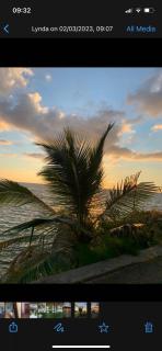 Orchid Sunset Guest House - Baie Lazare - Mahé - 8