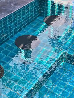 Pattara Mansion พัทยา - North Pattaya - 9