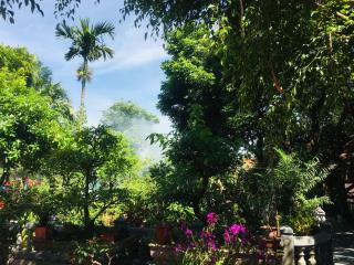 Luna Nature Homestay - Ninh Binh - 5