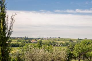 Le Mistral - Sommacampagna - 1