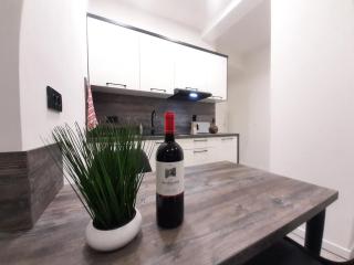 Apartments MiS-for you in city center - Rijeka - 0