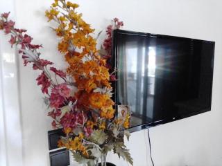 SOFI APARTMENT - 1