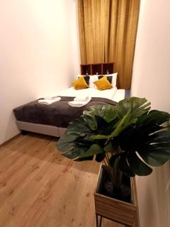 Spacious City Center Family 2 bedrooms apartment - Riga - 9