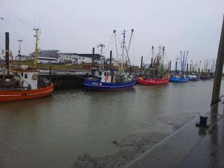 Nordsee und Natur. Gemütliche Fewo mit Deichblick - Dorum-Neufeld - 0