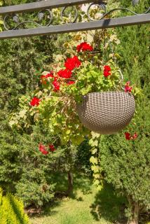 Cascadas Holiday Apartments - Sunny Beach - 1