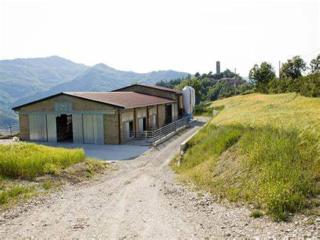 Terrace Retreat in the Marche - 4