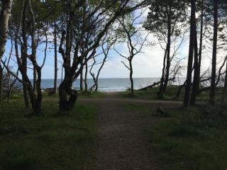 En perle af et sommerhus tæt på både strand og by - Hornbæk - 1