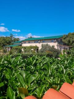 Apartments Villa Roza - 7