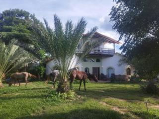 Horse Inn - Posada - Samaipata - 0