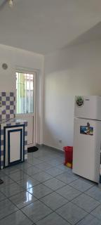 Le petit cactus 3 - Bras-Panon - 2