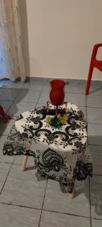 Le petit cactus 3 - Bras-Panon - 5