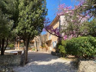 Campagne Salettes - Lorgues - 9