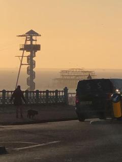 Seaside Flat With Sunny Garden. - Brighton & Hove - 2