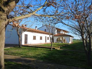 Azienda Il Tizzano - Albinia - 3