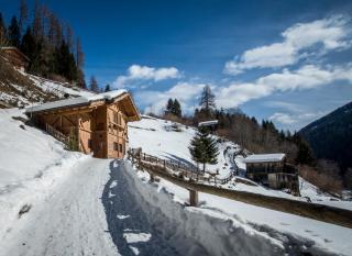 Chalet Bambi - 8