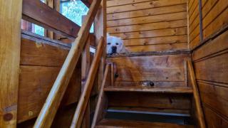 Chalet Coo - Stavelot - 2