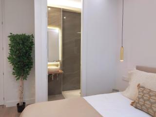 Centro VII calle Paz 6BR 6BH - Madrid - 3