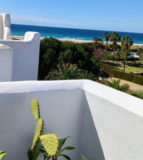 Exclusivo Zahara Urb Bahia de la Plata - 8