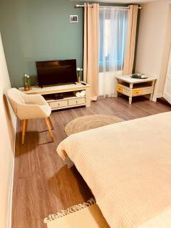 Moon and Sun Apartments - Sibiu - 5