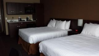 Microtel Inn & Suites by Wyndham Red Deer - Red Deer - 5