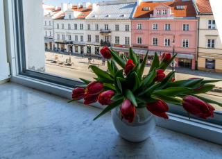 Apartament luster i obrazów - Varsavia - 7